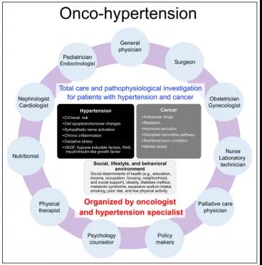 “肿瘤-高血压”：有高血压的人患癌风险高，能治疗吗
