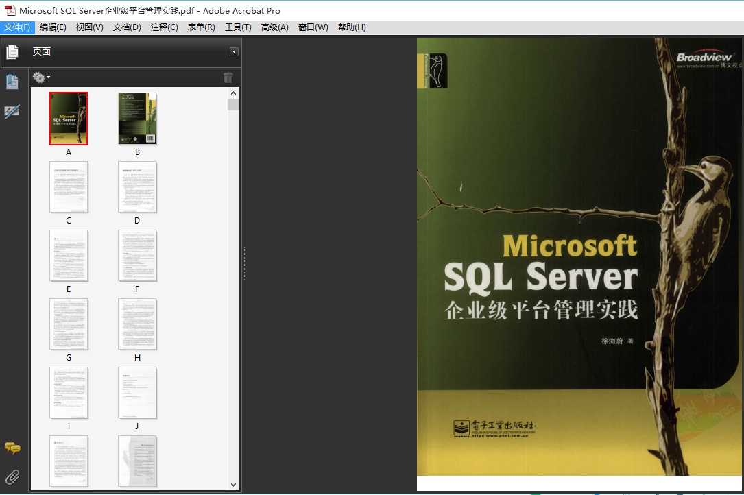 MicrosoftSQLServer企业级平台管理（高清PDF 下载）